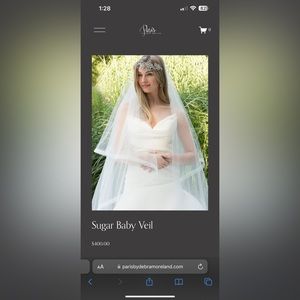 Paris Sugar Baby Cathedral Veil